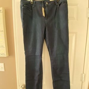 NWT Ann Taylor skinny jeans in blue.